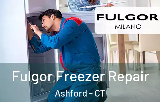  Fulgor Freezer Repair Ashford - CT