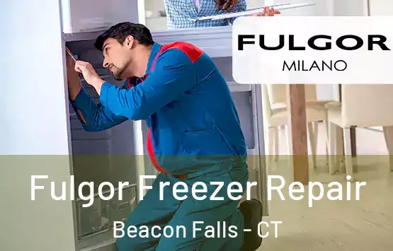  Fulgor Freezer Repair Beacon Falls - CT