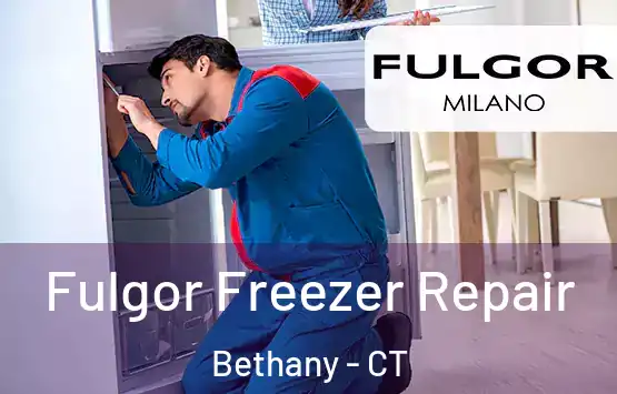  Fulgor Freezer Repair Bethany - CT