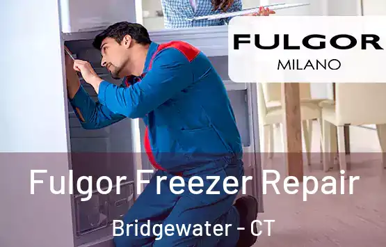  Fulgor Freezer Repair Bridgewater - CT
