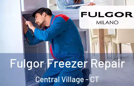 Fulgor Freezer Repair Central Village - CT