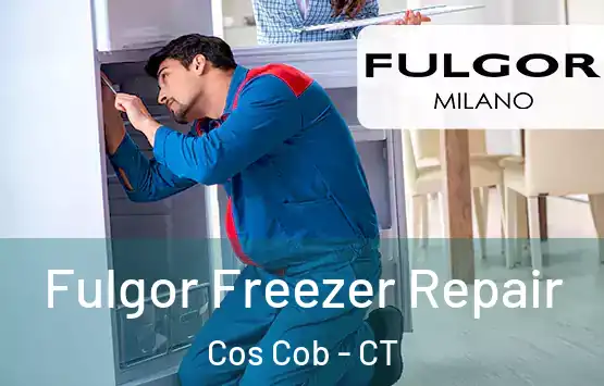  Fulgor Freezer Repair Cos Cob - CT