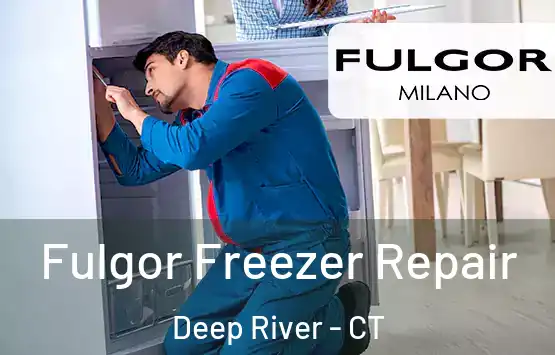  Fulgor Freezer Repair Deep River - CT