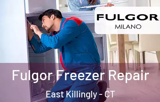  Fulgor Freezer Repair East Killingly - CT