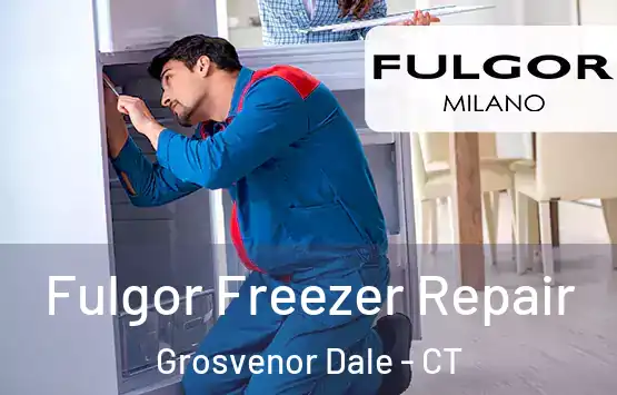  Fulgor Freezer Repair Grosvenor Dale - CT