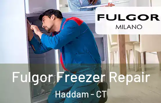  Fulgor Freezer Repair Haddam - CT