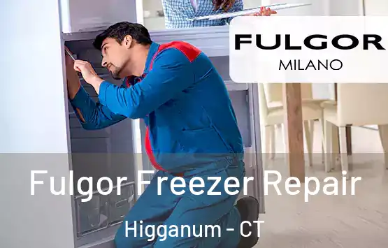  Fulgor Freezer Repair Higganum - CT