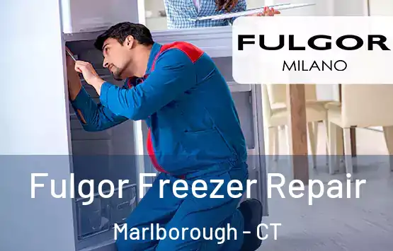  Fulgor Freezer Repair Marlborough - CT