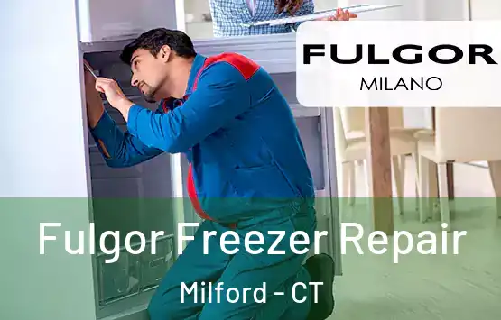  Fulgor Freezer Repair Milford - CT