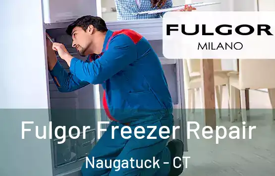 Fulgor Freezer Repair Naugatuck - CT