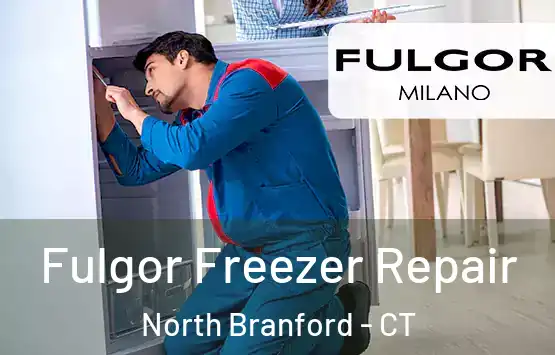 Fulgor Freezer Repair North Branford - CT