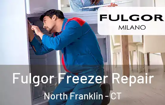  Fulgor Freezer Repair North Franklin - CT