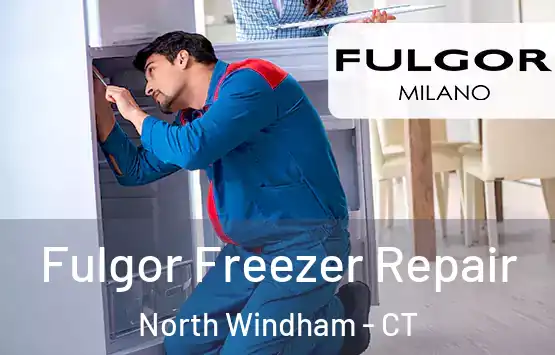  Fulgor Freezer Repair North Windham - CT