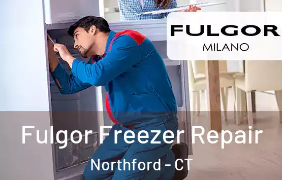  Fulgor Freezer Repair Northford - CT
