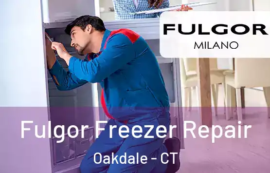  Fulgor Freezer Repair Oakdale - CT