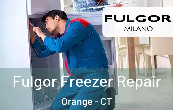  Fulgor Freezer Repair Orange - CT