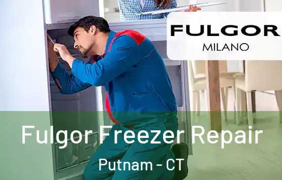  Fulgor Freezer Repair Putnam - CT