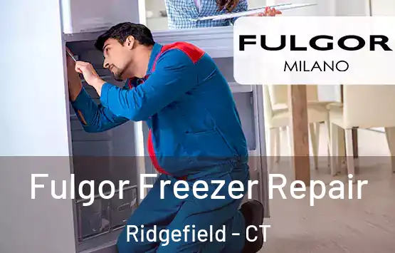  Fulgor Freezer Repair Ridgefield - CT