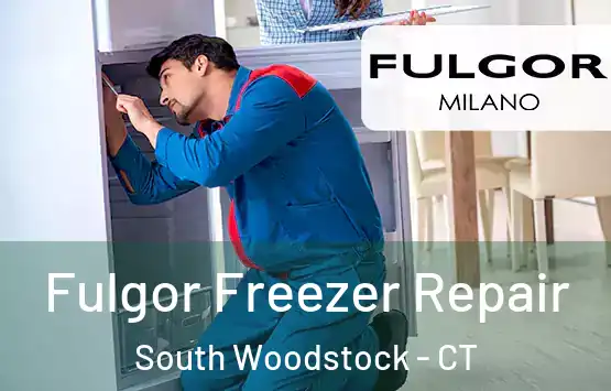  Fulgor Freezer Repair South Woodstock - CT