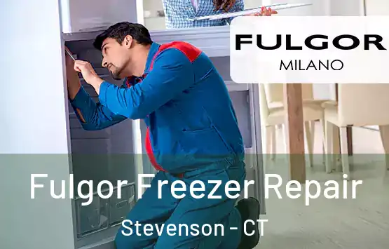  Fulgor Freezer Repair Stevenson - CT