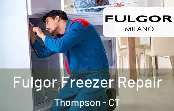  Fulgor Freezer Repair Thompson - CT