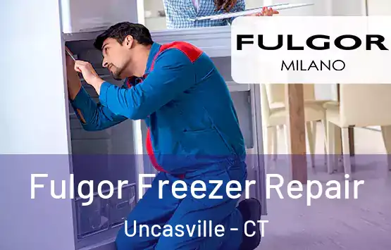  Fulgor Freezer Repair Uncasville - CT