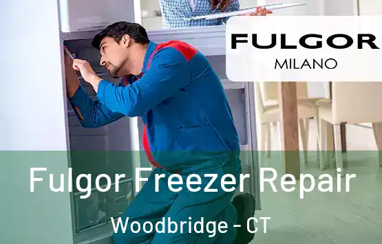  Fulgor Freezer Repair Woodbridge - CT