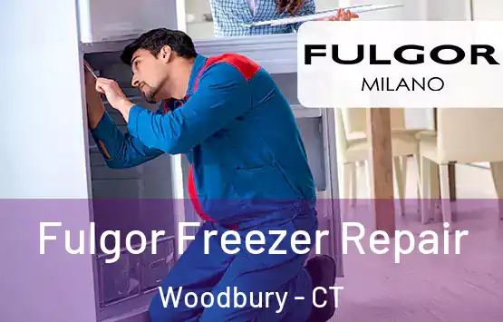  Fulgor Freezer Repair Woodbury - CT