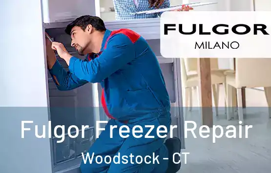  Fulgor Freezer Repair Woodstock - CT
