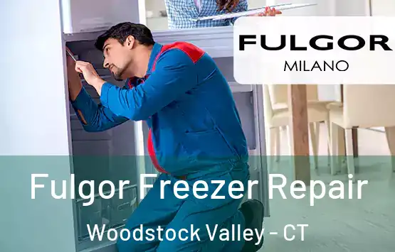  Fulgor Freezer Repair Woodstock Valley - CT