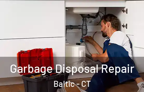  Garbage Disposal Repair Baltic - CT