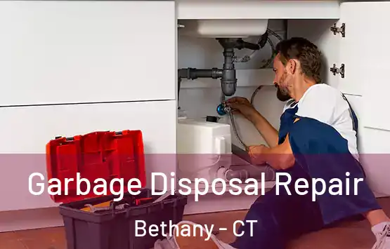  Garbage Disposal Repair Bethany - CT
