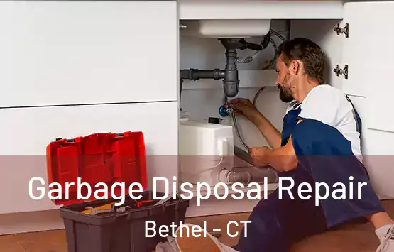  Garbage Disposal Repair Bethel - CT