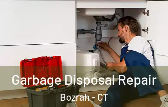  Garbage Disposal Repair Bozrah - CT