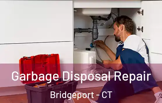  Garbage Disposal Repair Bridgeport - CT