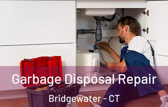  Garbage Disposal Repair Bridgewater - CT