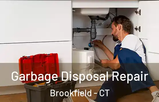  Garbage Disposal Repair Brookfield - CT