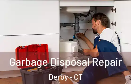  Garbage Disposal Repair Derby - CT