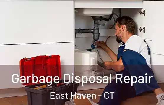  Garbage Disposal Repair East Haven - CT