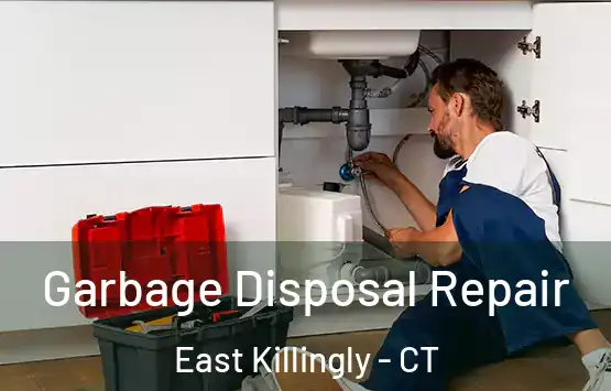  Garbage Disposal Repair East Killingly - CT