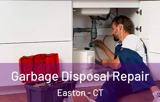 Garbage Disposal Repair Easton - CT