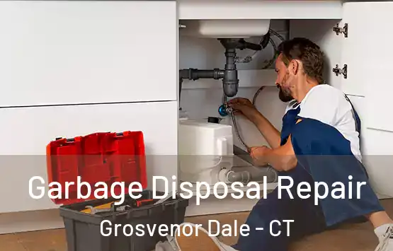  Garbage Disposal Repair Grosvenor Dale - CT