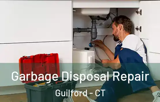  Garbage Disposal Repair Guilford - CT