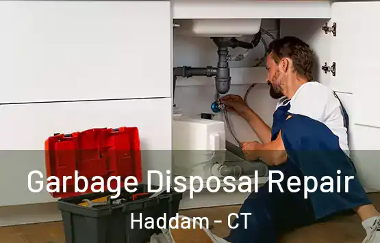  Garbage Disposal Repair Haddam - CT