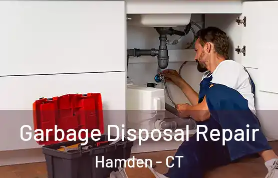  Garbage Disposal Repair Hamden - CT