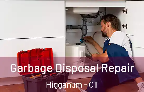  Garbage Disposal Repair Higganum - CT