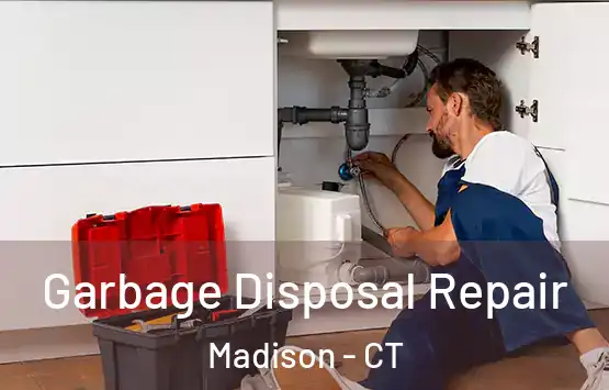  Garbage Disposal Repair Madison - CT