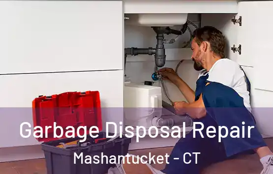  Garbage Disposal Repair Mashantucket - CT