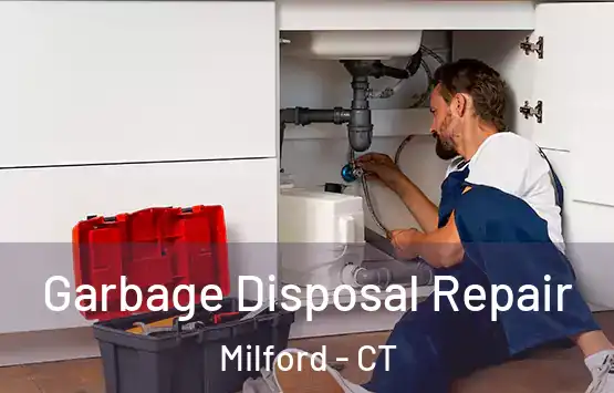  Garbage Disposal Repair Milford - CT
