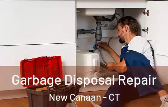  Garbage Disposal Repair New Canaan - CT